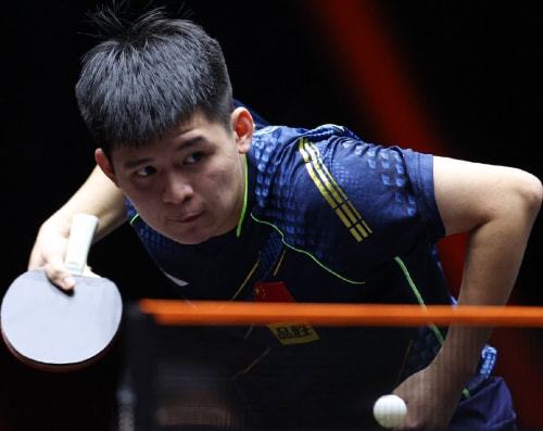 技战术水平 技战术水平