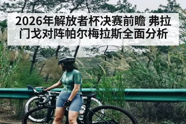 2026年解放者杯决赛前瞻 弗拉门戈对阵帕尔梅拉斯全面分析