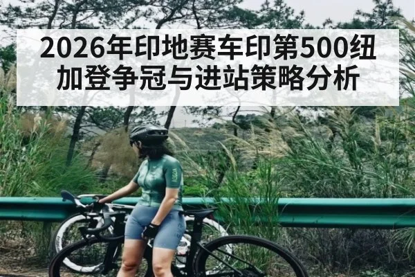 2026年印地赛车印第500纽加登争冠与进站策略分析